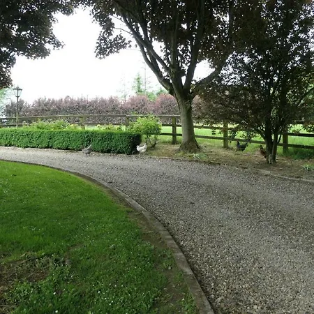 The Paddocks