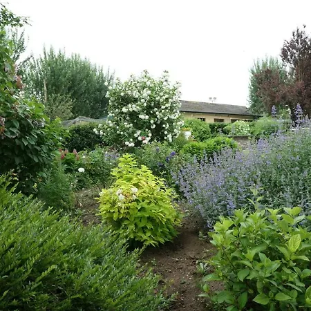 The Paddocks Landsted