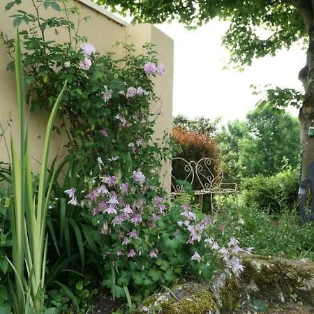 The Paddocks Εξοχικό σπίτι Adare