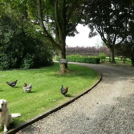 The Paddocks Landsted